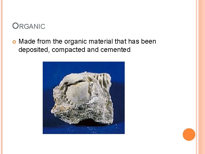ORGANIC Made from the organic material that has been deposited, compacted and cemented 