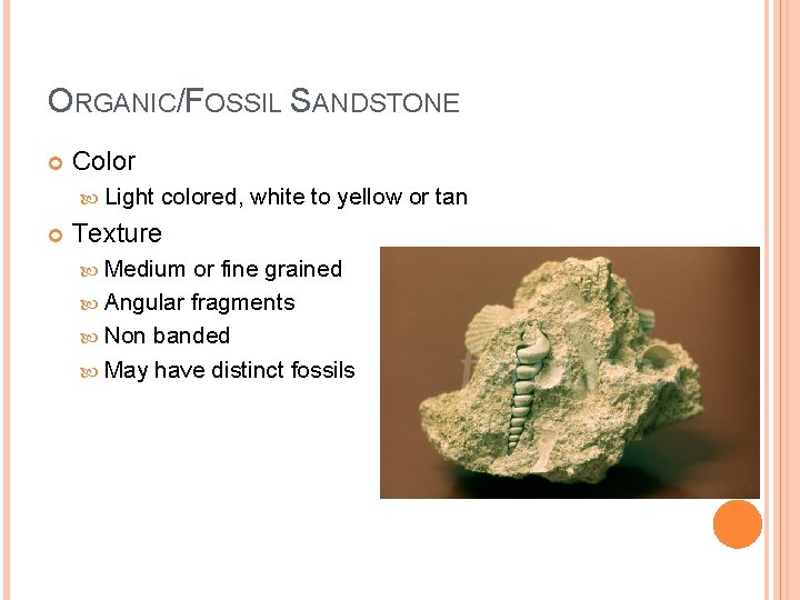 ORGANIC/FOSSIL SANDSTONE Color Light colored, white to yellow or tan Texture Medium or fine