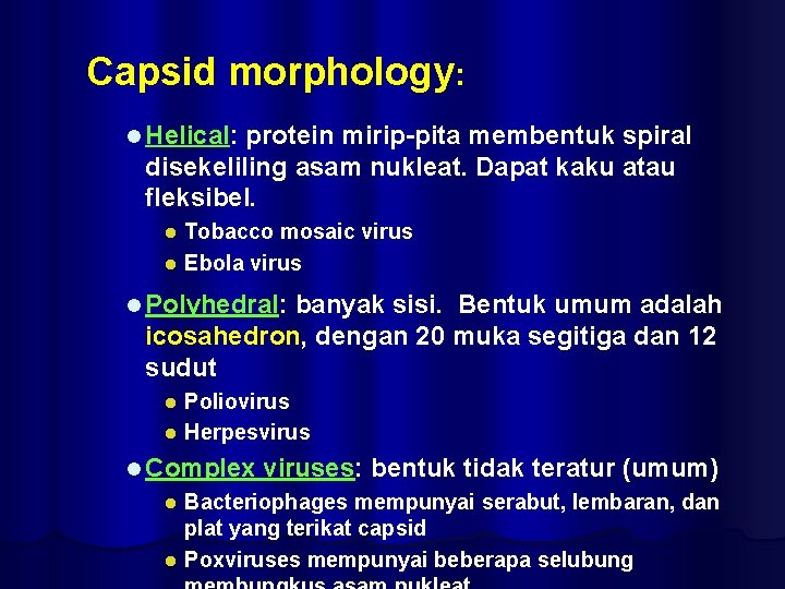 Capsid morphology: l Helical: protein mirip-pita membentuk spiral disekeliling asam nukleat. Dapat kaku atau