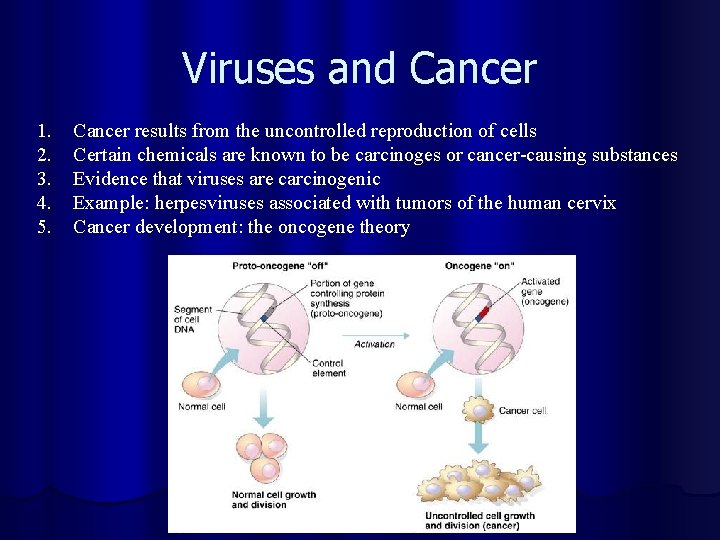 Viruses and Cancer 1. 2. 3. 4. 5. Cancer results from the uncontrolled reproduction
