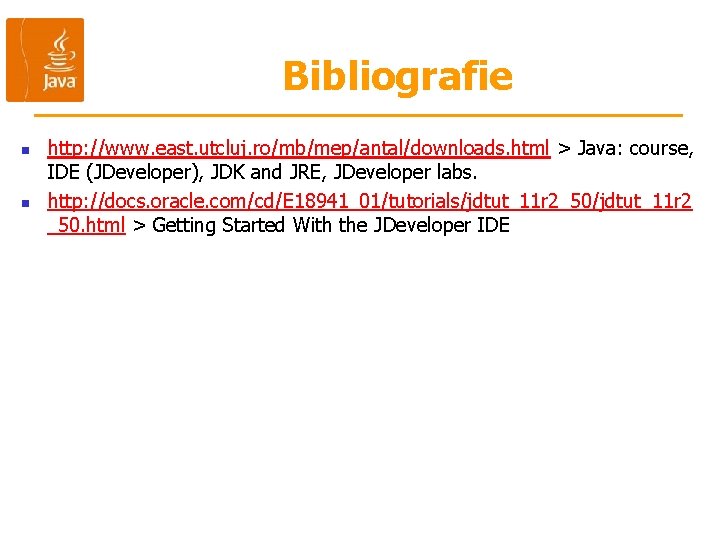 Bibliografie n n http: //www. east. utcluj. ro/mb/mep/antal/downloads. html > Java: course, IDE (JDeveloper),