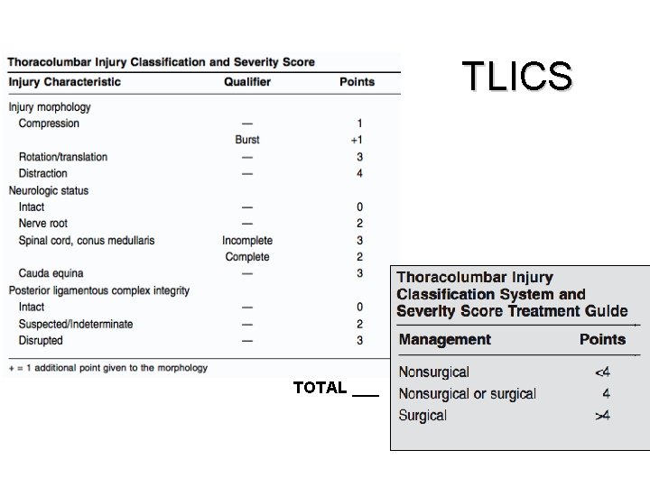 TLICS TOTAL ___ 