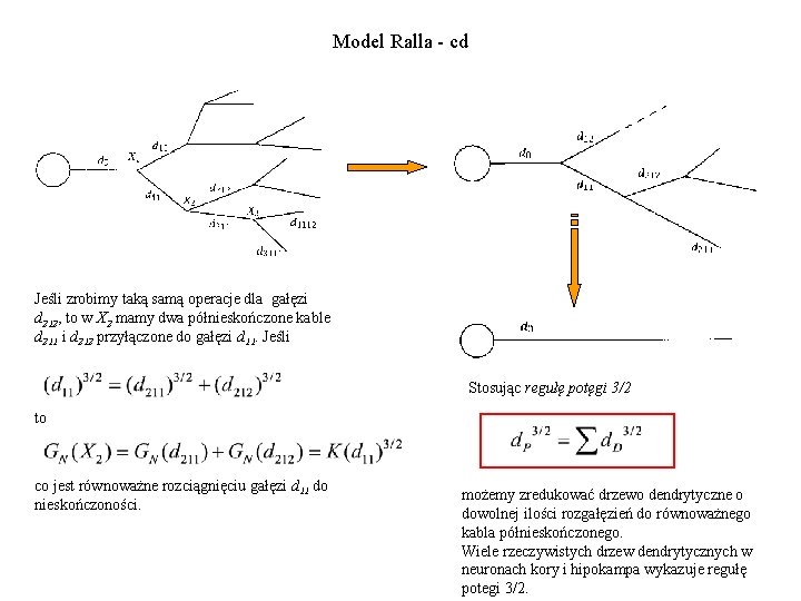 Model Ralla - cd Jeśli zrobimy taką samą operacje dla gałęzi d 212, to