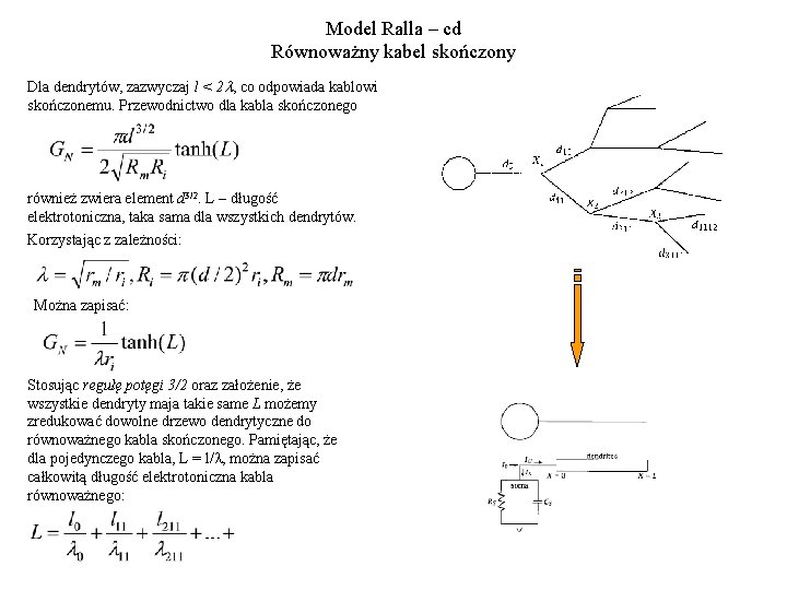 Model Ralla – cd Równoważny kabel skończony Dla dendrytów, zazwyczaj l < 2 l,