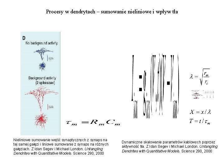 Procesy w dendrytach – sumowanie nieliniowe i wpływ tła Nieliniowe sumowanie wejść synaptycznych z