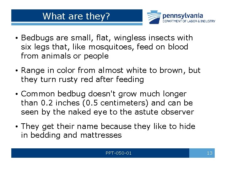 What are they? • Bedbugs are small, flat, wingless insects with six legs that,