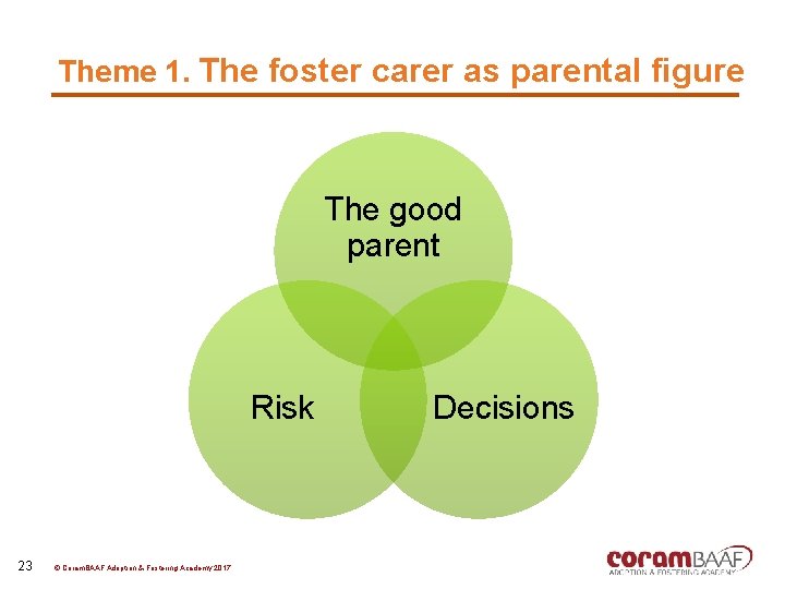 Theme 1. The foster carer as parental figure The good parent Risk 23 ©