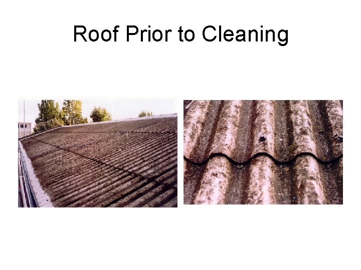 Roof Prior to Cleaning 