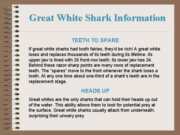 Great White Shark Information TEETH TO SPARE If great white sharks had tooth fairies,