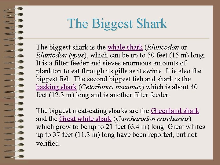 The Biggest Shark The biggest shark is the whale shark (Rhincodon or Rhiniodon typus),