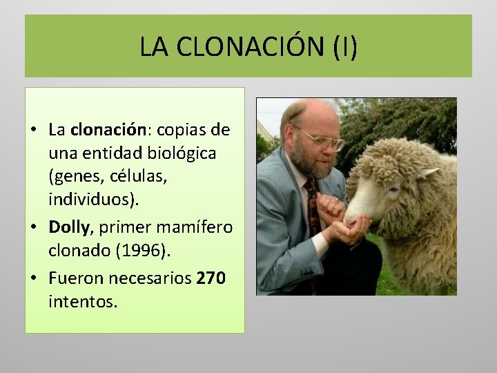 LA CLONACIÓN (I) • La clonación: copias de una entidad biológica (genes, células, individuos).