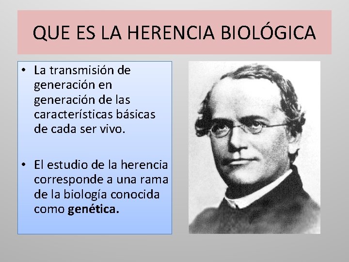 QUE ES LA HERENCIA BIOLÓGICA • La transmisión de generación en generación de las