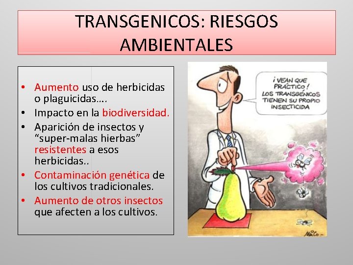 TRANSGENICOS: RIESGOS AMBIENTALES • Aumento uso de herbicidas o plaguicidas…. • Impacto en la