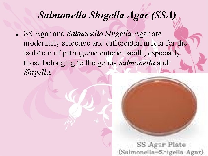 Salmonella Shigella Agar (SSA) l SS Agar and Salmonella Shigella Agar are moderately selective