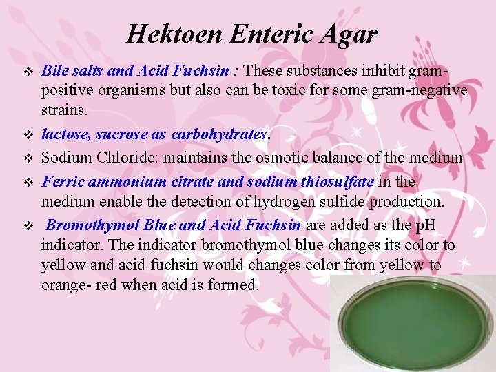 Hektoen Enteric Agar v v v Bile salts and Acid Fuchsin : These substances