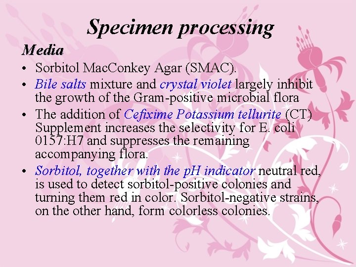Specimen processing Media • Sorbitol Mac. Conkey Agar (SMAC). • Bile salts mixture and