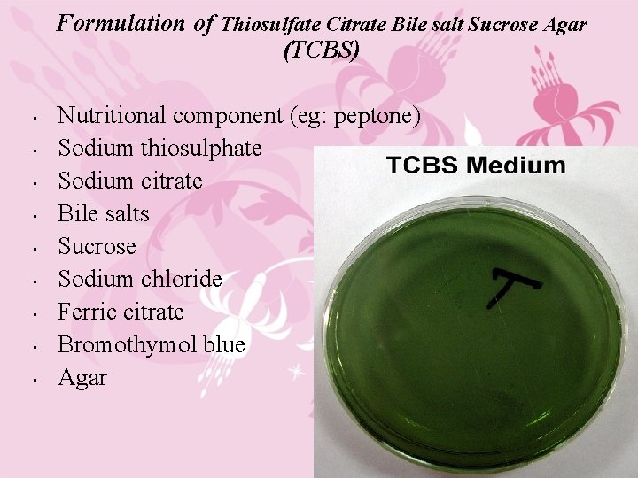 Formulation of Thiosulfate Citrate Bile salt Sucrose Agar (TCBS) • • • Nutritional component