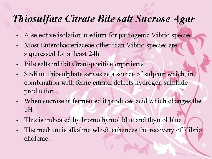 Thiosulfate Citrate Bile salt Sucrose Agar • • A selective isolation medium for pathogenic