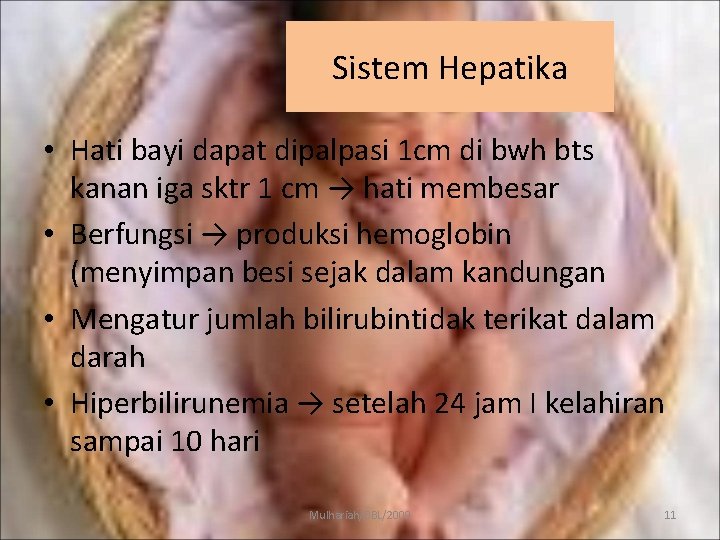 Sistem Hepatika • Hati bayi dapat dipalpasi 1 cm di bwh bts kanan iga