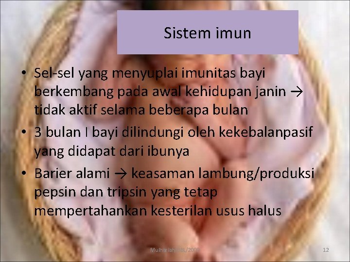 Sistem imun • Sel-sel yang menyuplai imunitas bayi berkembang pada awal kehidupan janin →