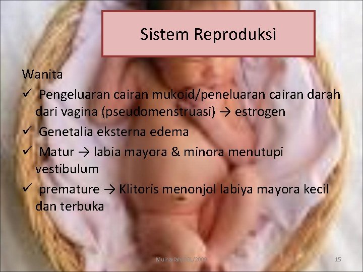 Sistem Reproduksi Wanita ü Pengeluaran cairan mukoid/peneluaran cairan darah dari vagina (pseudomenstruasi) → estrogen