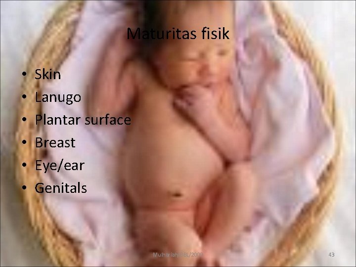 Maturitas fisik • • • Skin Lanugo Plantar surface Breast Eye/ear Genitals Mulhariah/BBL/2009 43