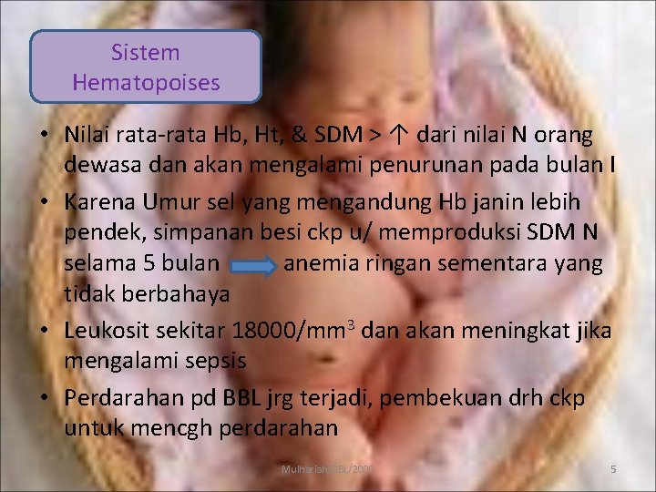 Sistem Hematopoises • Nilai rata-rata Hb, Ht, & SDM > ↑ dari nilai N