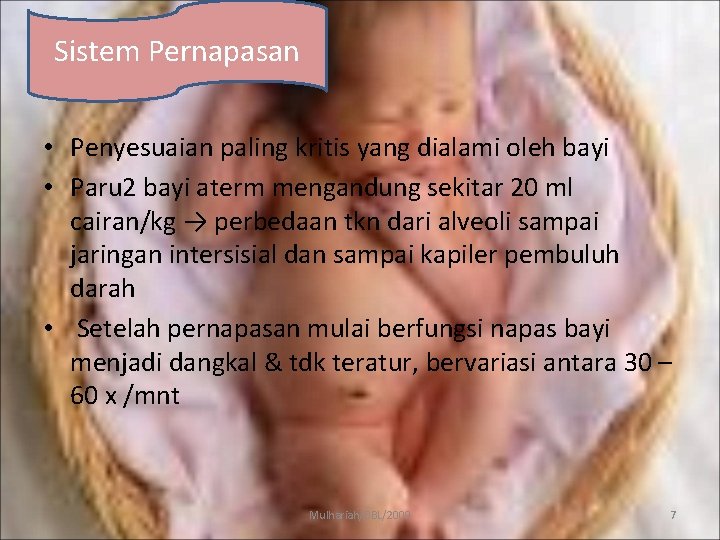 Sistem Pernapasan • Penyesuaian paling kritis yang dialami oleh bayi • Paru 2 bayi