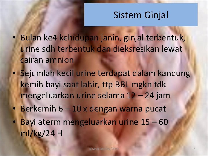 Sistem Ginjal • Bulan ke 4 kehidupan janin, ginjal terbentuk, urine sdh terbentuk dan