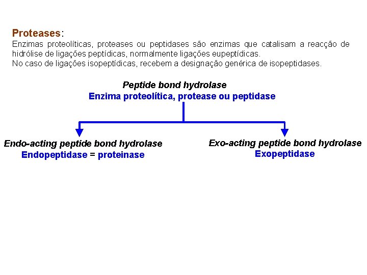 Proteases: Enzimas proteolíticas, proteases ou peptidases são enzimas que catalisam a reacção de hidrólise