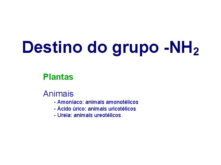 Destino do grupo -NH 2 Plantas Animais - Amoníaco: animais amonotélicos - Ácido úrico: