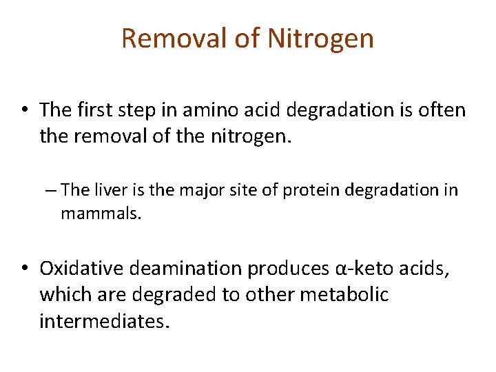 Removal of Nitrogen • The first step in amino acid degradation is often the