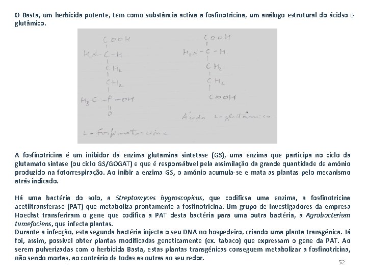 O Basta, um herbicida potente, tem como substância activa a fosfinotricina, um análogo estrutural