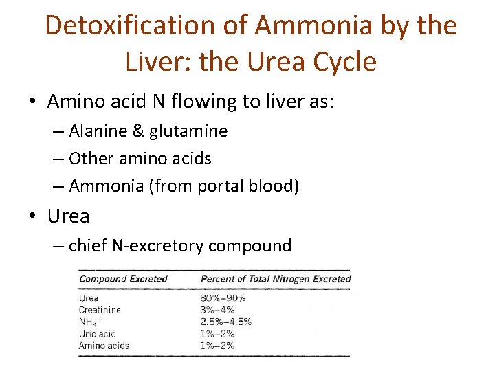 Detoxification of Ammonia by the Liver: the Urea Cycle • Amino acid N flowing