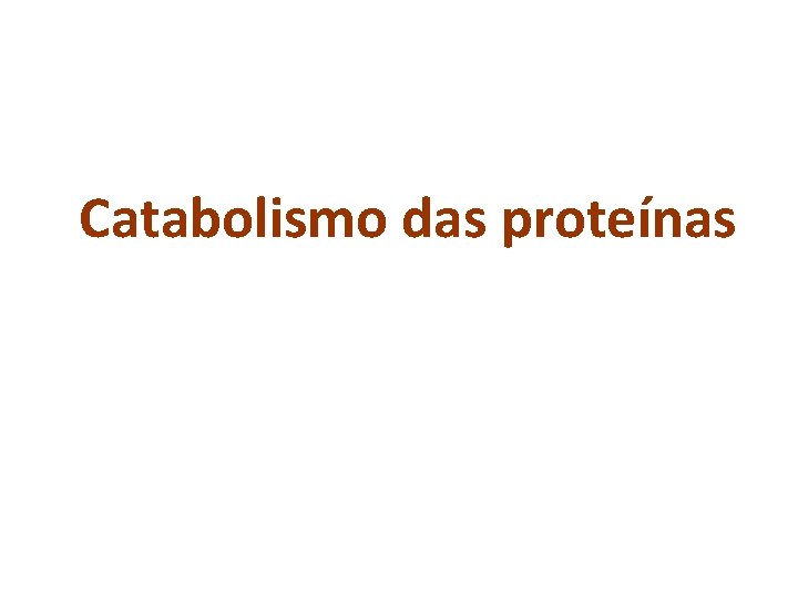 Catabolismo das proteínas 
