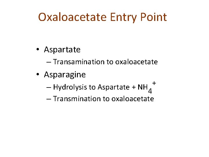 Oxaloacetate Entry Point • Aspartate – Transamination to oxaloacetate • Asparagine – Hydrolysis to