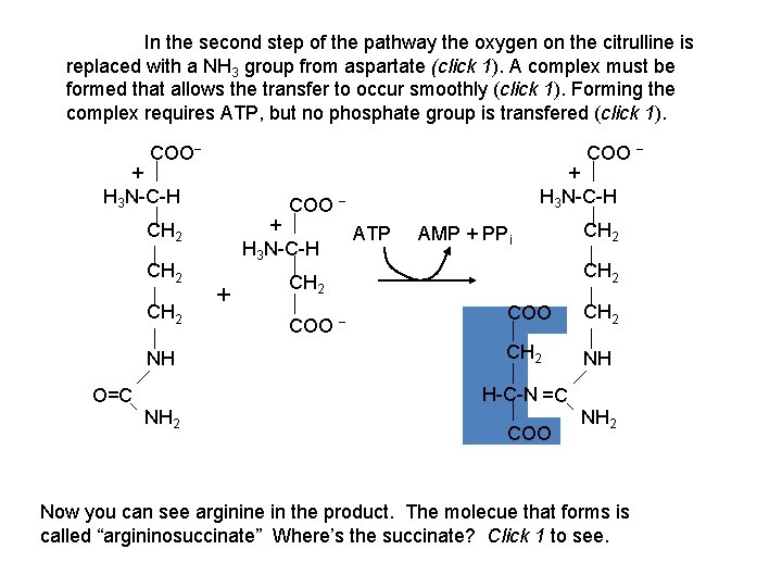In the second step of the pathway the oxygen on the citrulline is replaced