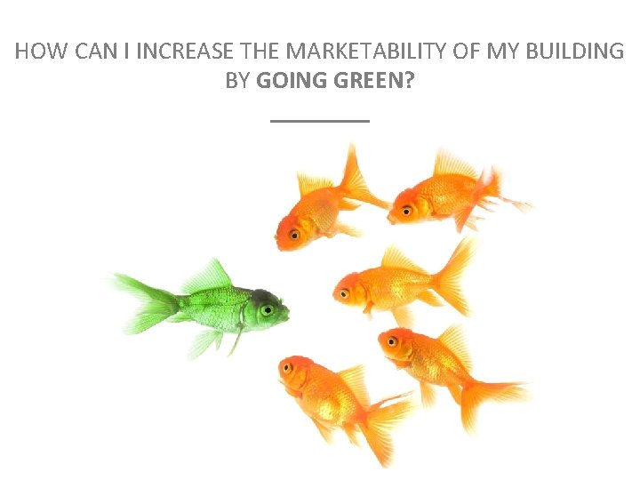 HOW CAN I INCREASE THE MARKETABILITY OF MY BUILDING BY GOING GREEN? ____ 