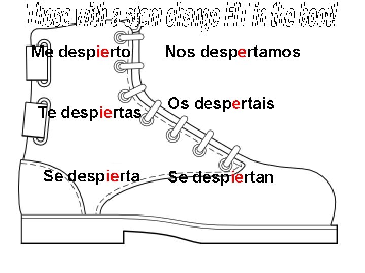 Me despierto Te despiertas Se despierta Nos despertamos Os despertais Se despiertan 