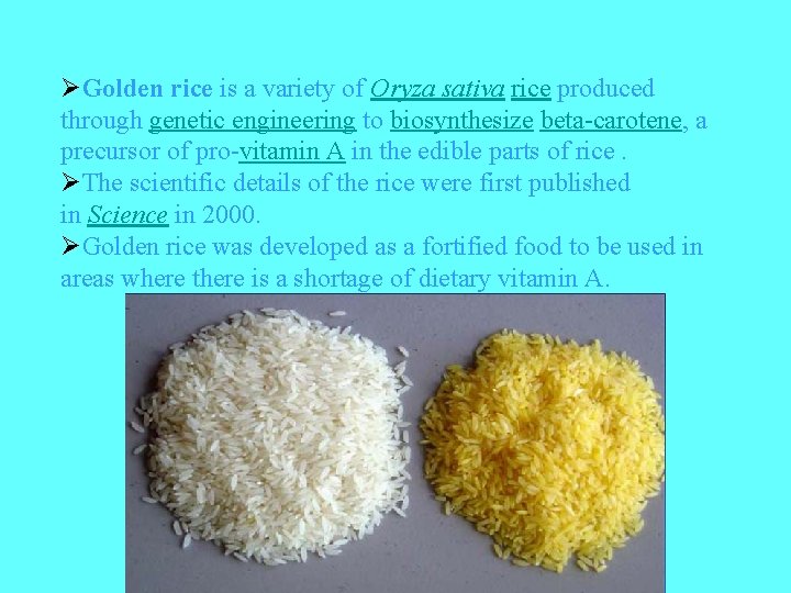 ØGolden rice is a variety of Oryza sativa rice produced through genetic engineering to