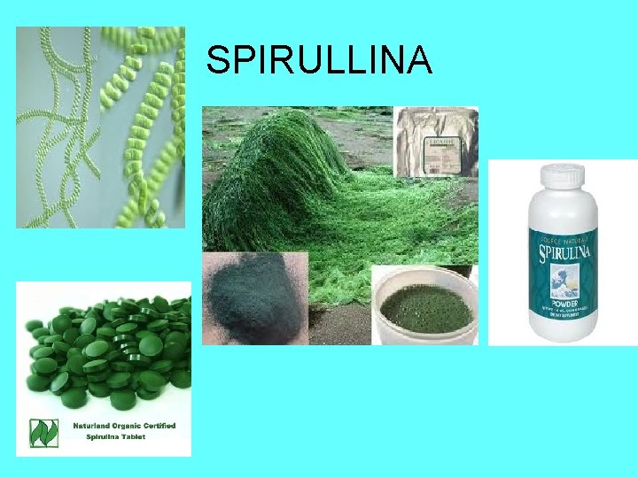 SPIRULLINA 