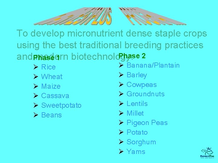 To develop micronutrient dense staple crops using the best traditional breeding practices Phase 2