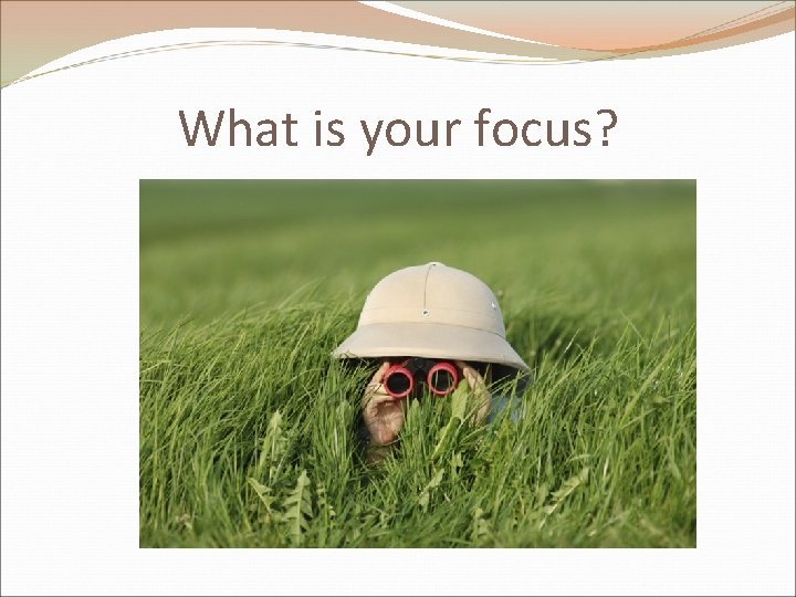 What is your focus? 