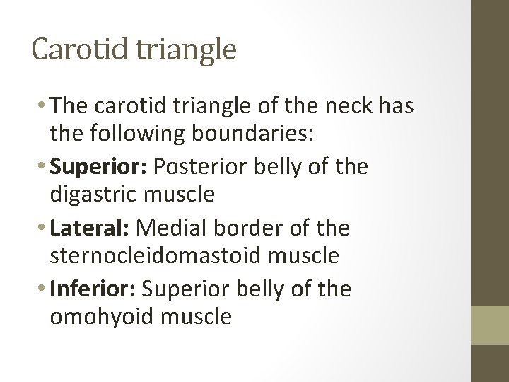 Carotid triangle • The carotid triangle of the neck has the following boundaries: •