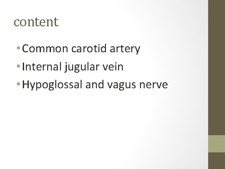 content • Common carotid artery • Internal jugular vein • Hypoglossal and vagus nerve