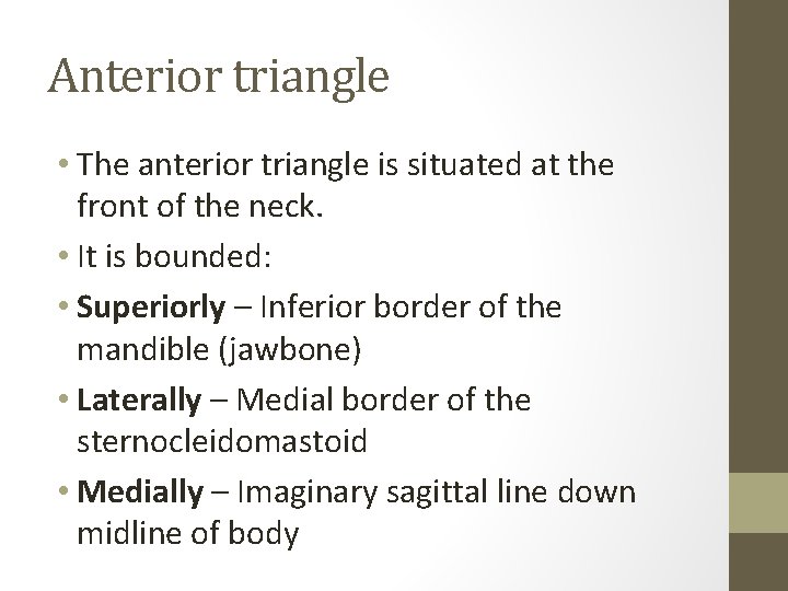 Anterior triangle • The anterior triangle is situated at the front of the neck.