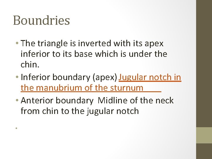 Boundries • The triangle is inverted with its apex inferior to its base which