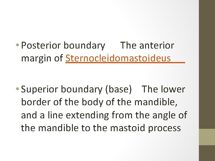  • Posterior boundary The anterior margin of Sternocleidomastoideus • Superior boundary (base) The