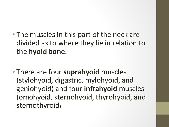  • The muscles in this part of the neck are divided as to