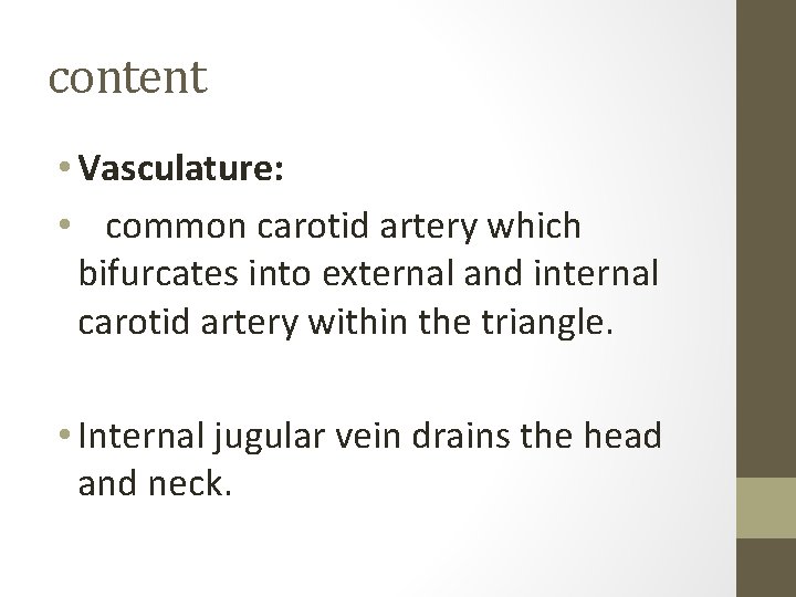 content • Vasculature: • common carotid artery which bifurcates into external and internal carotid